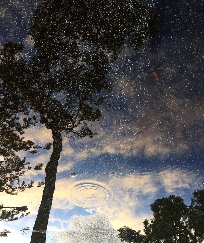 Ondas en el cielo | Shutterstock