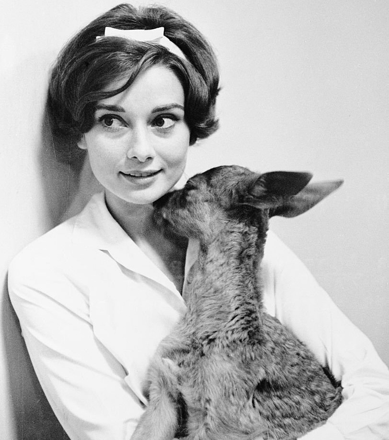 Audrey Hepburn, sie ist eine von uns! | Getty Images Photo by Bettmann