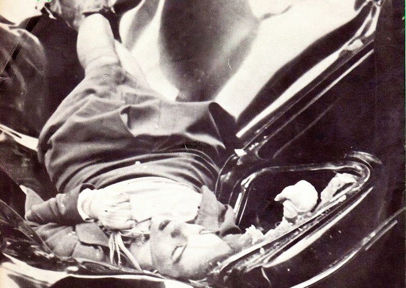 Evelyn McHale | Alamy Stock Photo by Vinyls 