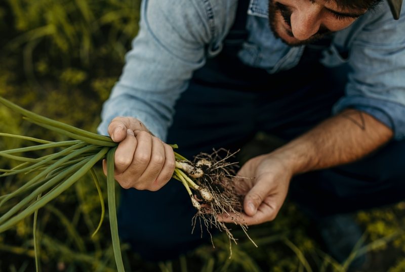 Kosuga Started Out as a Farmer | Shutterstock