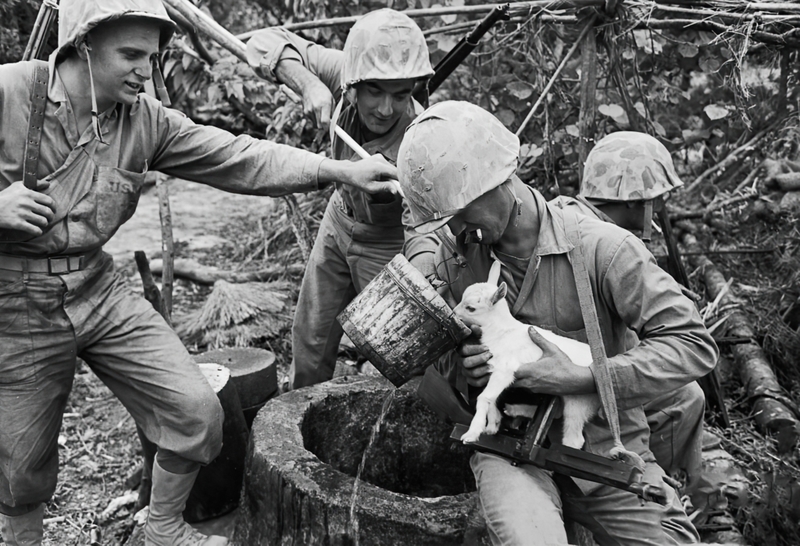 Salvar la guerra | Alamy Stock Photo