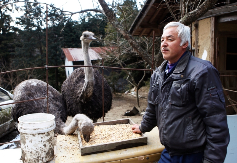 Rescate de animales en Fukushima | Alamy Stock Photo