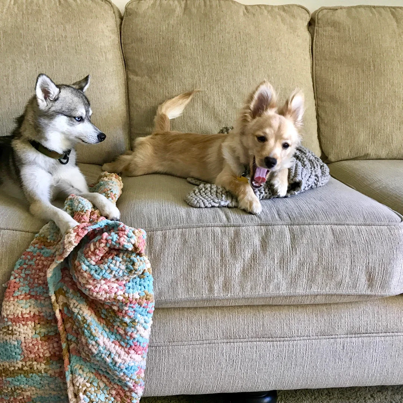 This Sofa’s Not Big Enough for the Two of Us | Reddit.com/diamondbro43