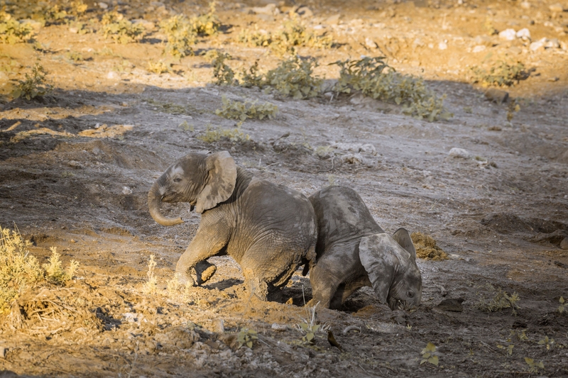 Mamá dice que es mi turno en el charco de barro | Alamy Stock Photo by CORREIA Patrice