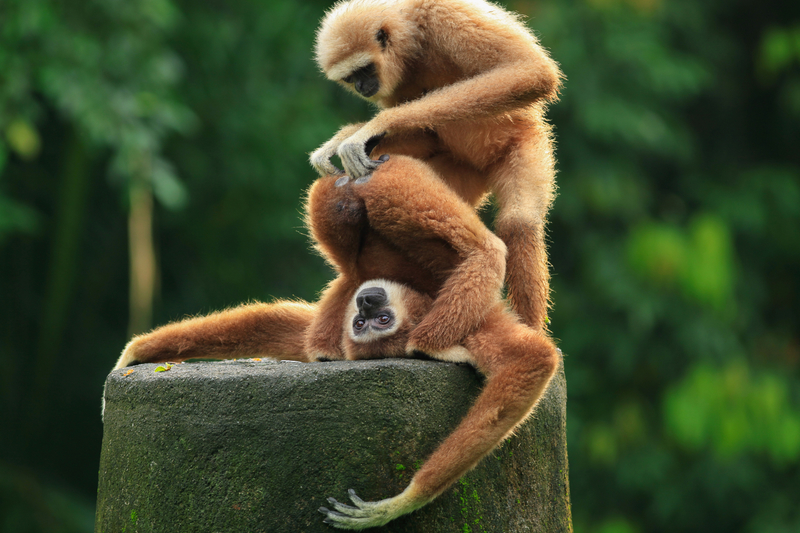 Es un trabajo sucio, pero alguien tiene que hacerlo | Getty Images Photo by Khairel Anuar Che Ani/EyeEm