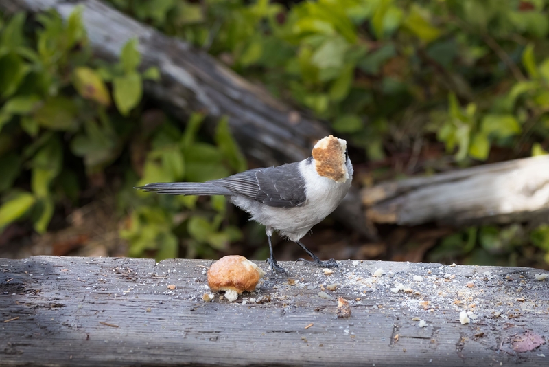 Nada de fotos, por favor | Alamy Stock Photo by Linda Burek