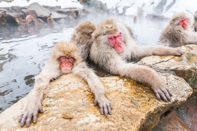 Disfrutando del calor | Getty Images Photo by VittoriaChe