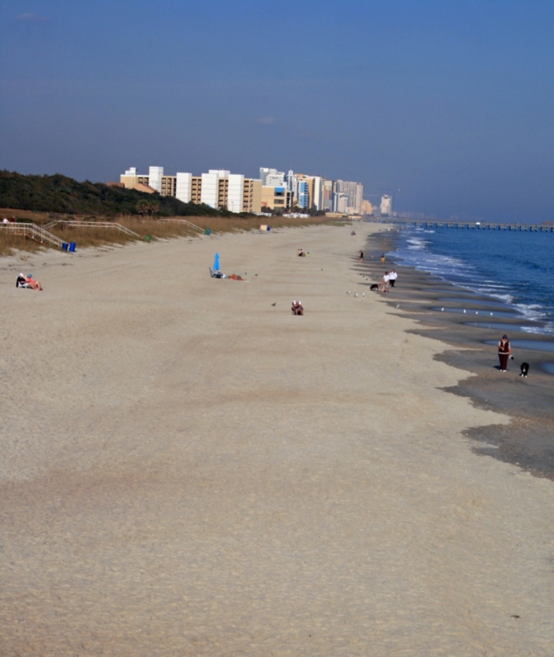 Condado de Horry, Carolina do Sul | Alamy Stock Photo by Malcolm Wood