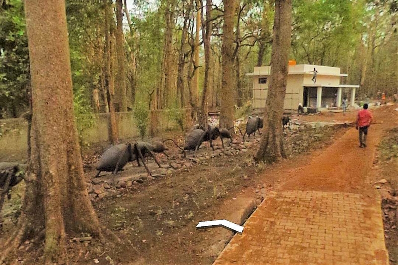 ¿Hormigas gigantes o humano pequeño? | Instagram/@paranabs via Google Street View