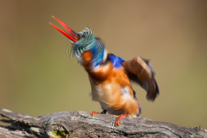 Ich bin der Bohrer, der die Wolken durchbohren wird! | Alamy Stock Photo by Mike Johnson