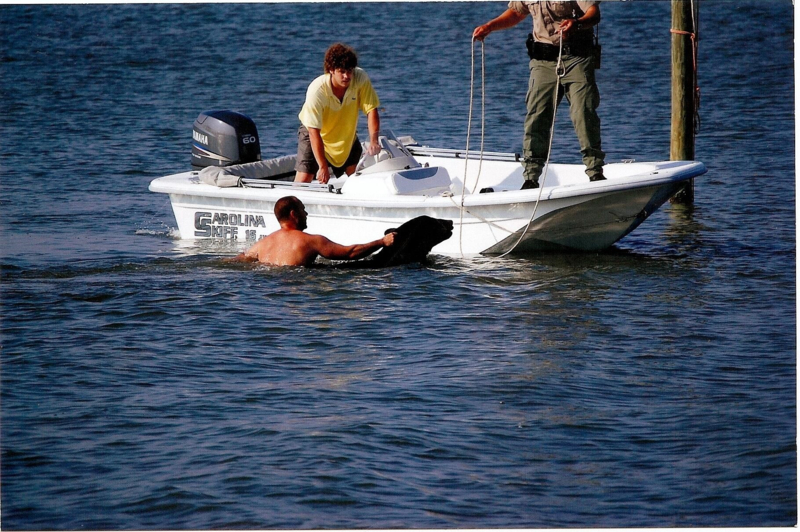 Homem Mergulha no Oceano e Salva Urso de 180 Quilos | Twitter/@adam_warwick