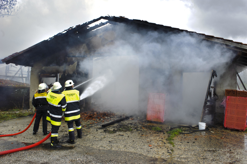 Incêndio, Fios Elétricos e Salvamento de Animais | Alamy Stock Photo