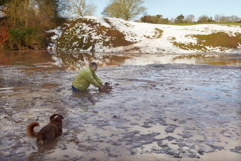 Entrando em um Lago Gelado para Salvar um Cachorro | Alamy Stock Photo