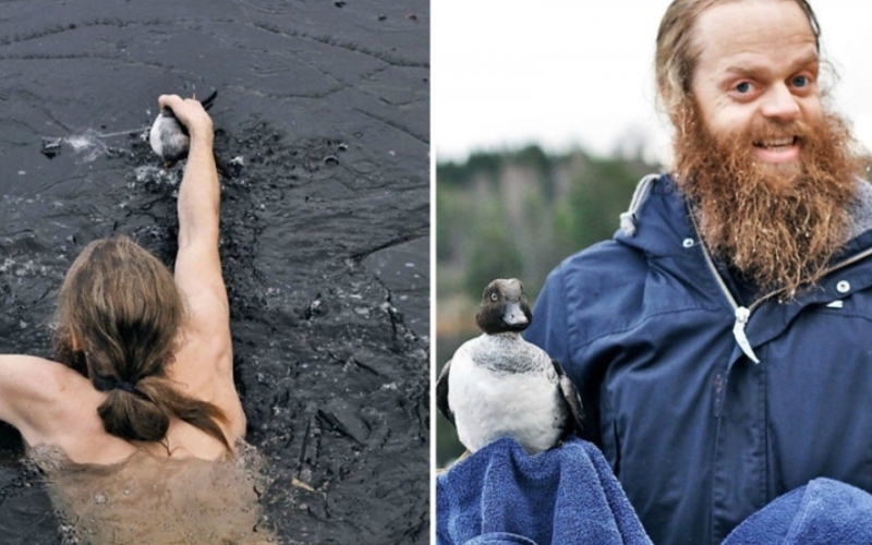 Este Homem Pulou em um Lago Congelado para Salvar um Pássaro | Imgur.com/UhtredofBebbanburg