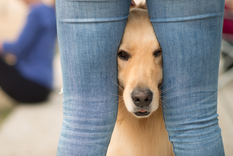 Denkst du das sie uns sehen können? | Adobe Stock Photo by presidentk52