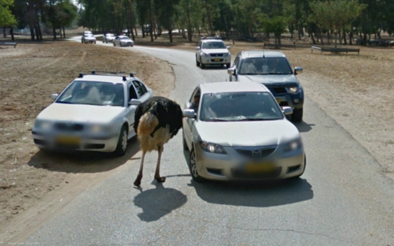 Vocês Têm Comida? | Imgur.com/Supernoodlesoup via Google Street View