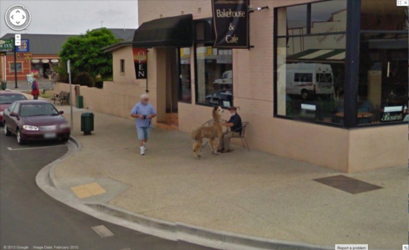Indo Beber Um Café Com Uma Alpaca | Imgur.com/RWNnMEO via Google Street View