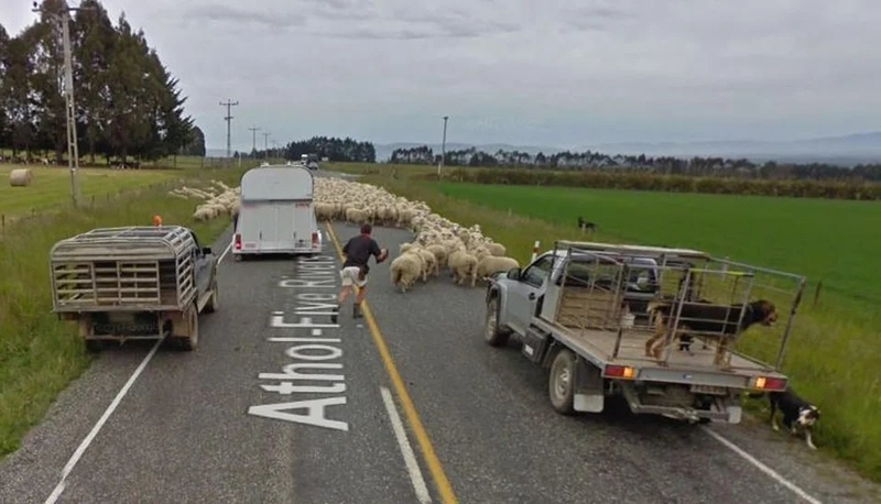 Revolta Das Ovelhas | Reddit.com/General_Beefington via Google Street View