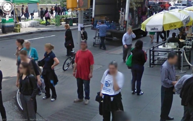 Um Chapéu De Gato | Reddit.com/Oblimix via Google Street View