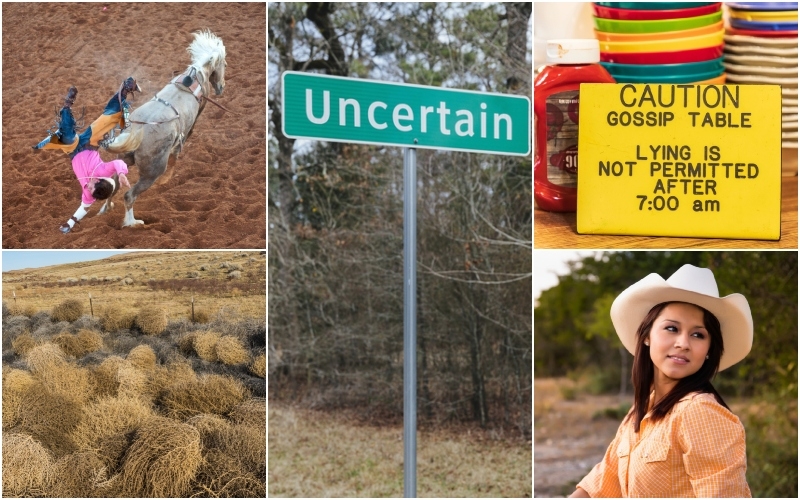 Things That Only Happen in Texas: Part 3 | Alamy Stock Photo by jochem wijnands/Horizons WWP & Ken Kistler & DanitaDelimont.com & André Babiak/Westend61 GmbH & Getty Images Photo by Mint Images