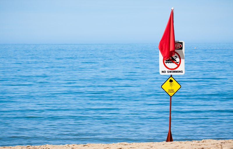 La costa de Queensland Australia | Johan Larson/Shutterstock