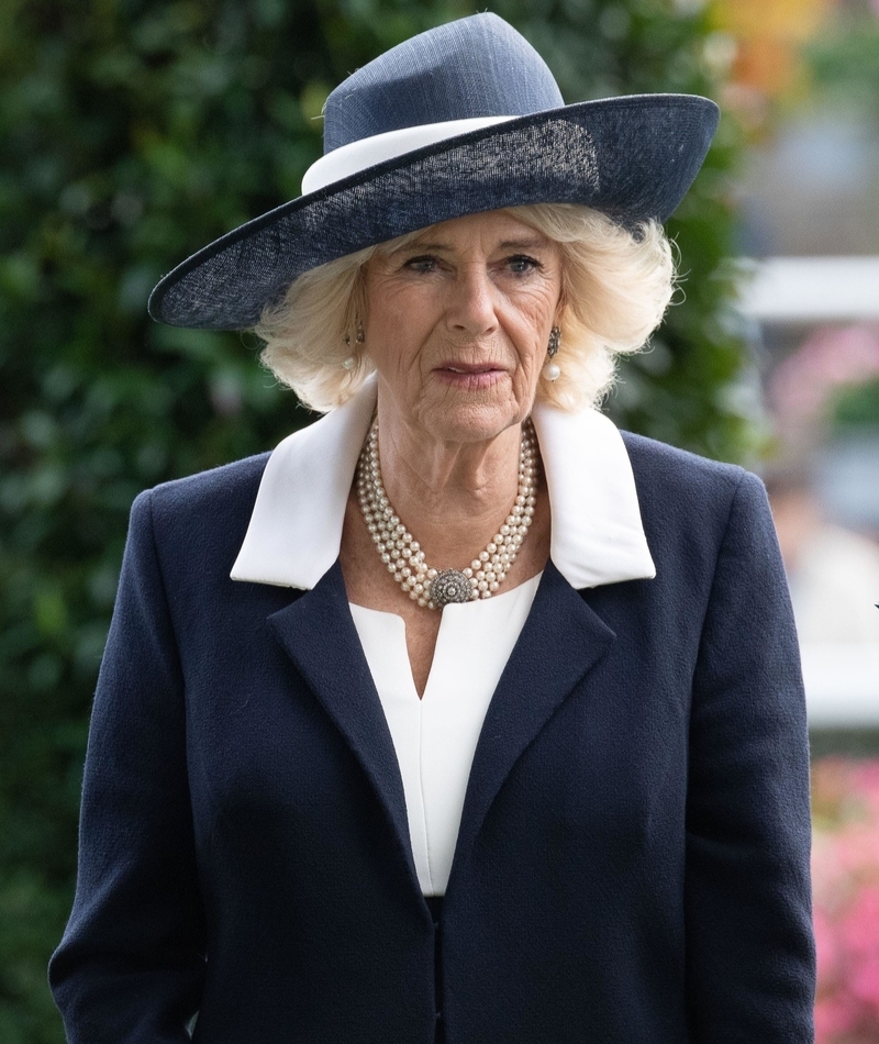 Camilla, Reina consorte - 5 millones de dólares | Alamy Stock Photo by Maureen McLean/Alamy Live News