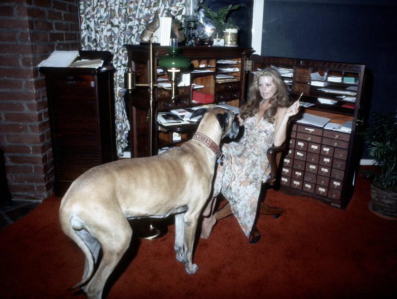 Priscilla Presley | Getty Images Photo by Ron Galella Collection 