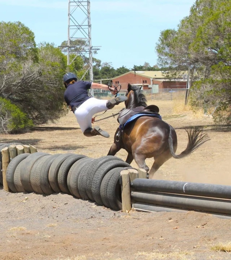 Saltó de su caballo | Reddit.com/PonyParkour