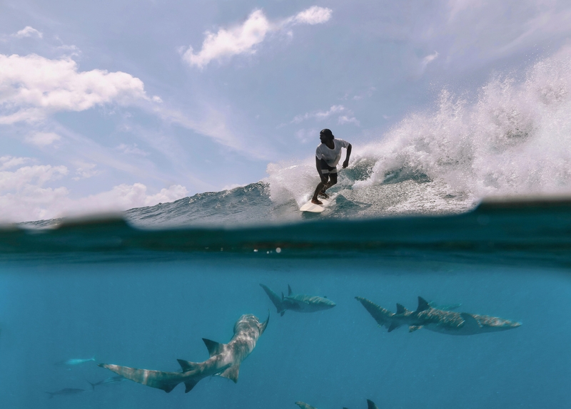 Parece una escena sacada de “Tiburón” | Alamy Stock Photo