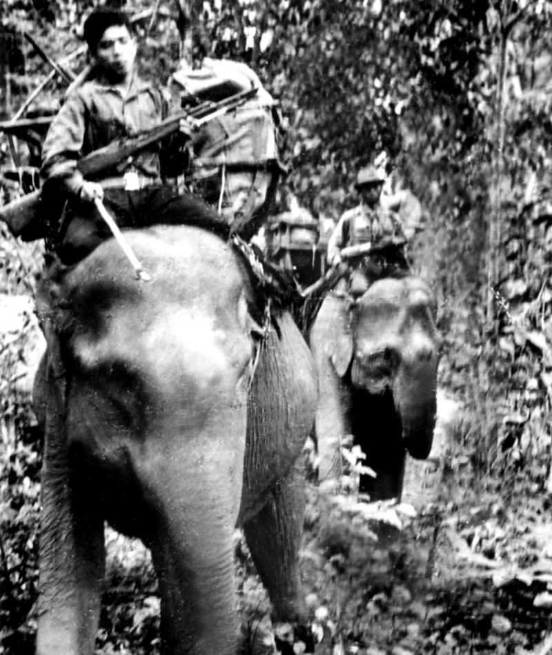 La icónica Operación Elefante | Getty Images Photo by AFP