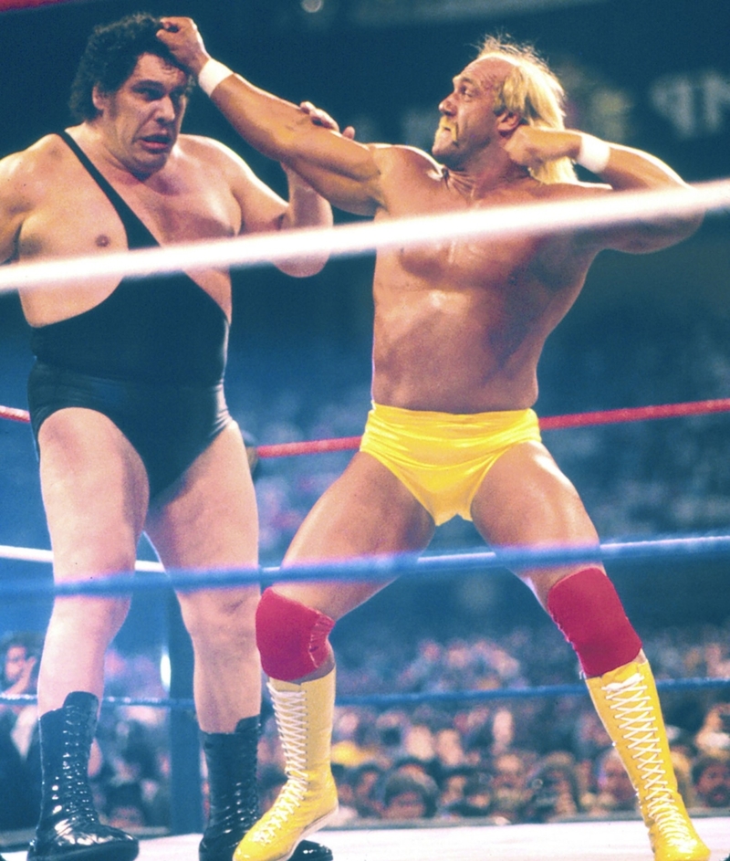 Hulk Hogan machte sich Notizen von Kämpfen mit André the Giant | Getty Images Photo by Jeffrey Asher