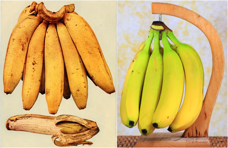 Bananas | Getty Images Photo by Smith Collection/Gado & Shutterstock