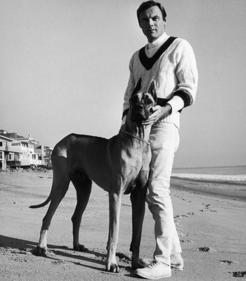 Adam West e Batdog da TV: a Melhor Dupla de Super-Heróis | Getty Images Photo by Hulton Archive