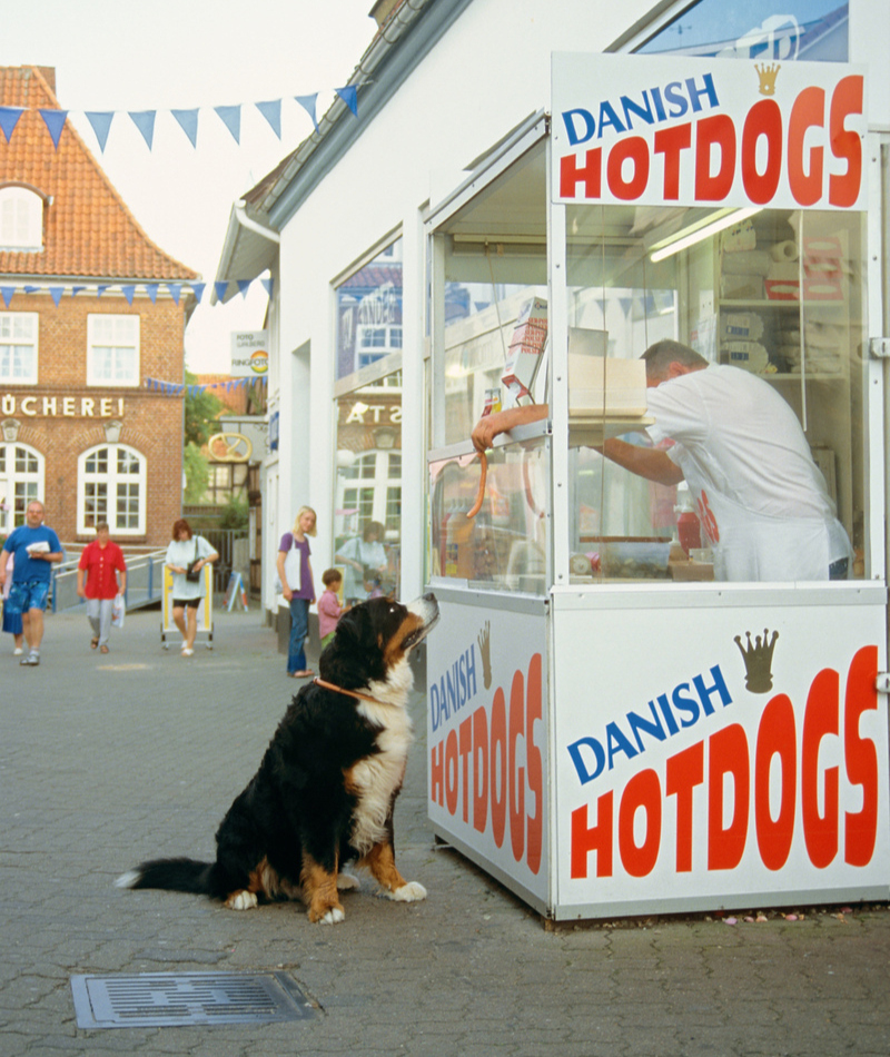 El auténtico Hot Dog | Alamy Stock Photo