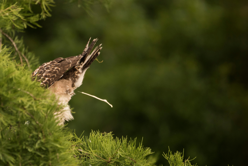 Dia de faxina | Alamy Stock Photo by Anton Sorokin