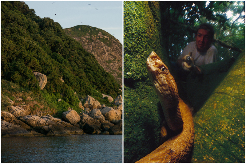 Snake Island | Alamy Stock Photo