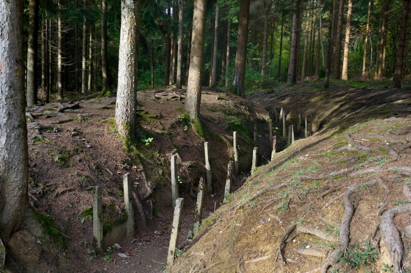 Rückkehr in die Natur | Alamy Stock Photo