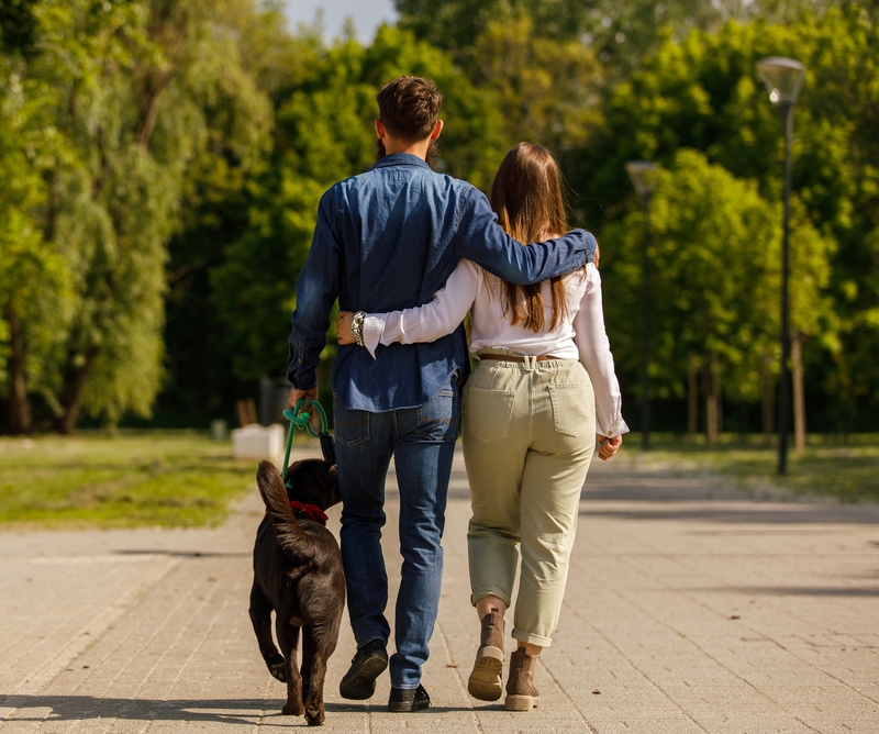 Forever Home | Getty Images Photo by fotostorm