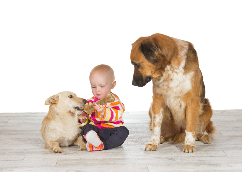 I Will Be a Good Boy | Shutterstock