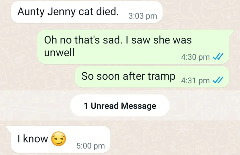 Mom, Did You Kill Jenny’s Cat? | Reddit.com/Vharlkie