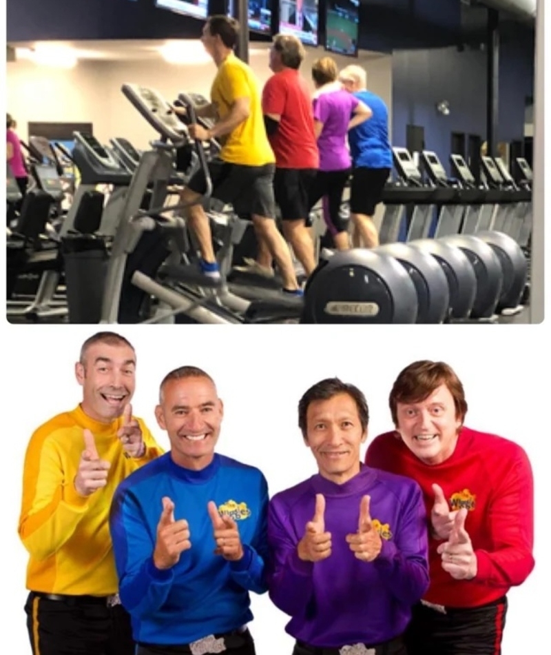 The Wiggles | Reddit.com/srw5267