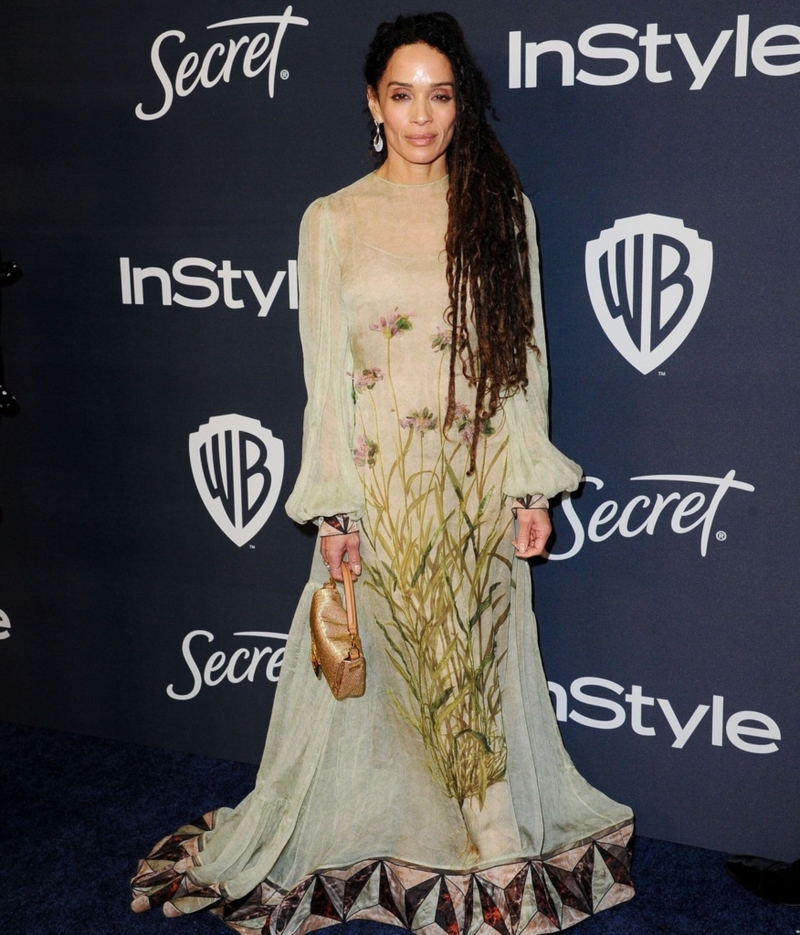 Lisa Bonet | Alamy Stock Photo by INSTAR Images LLC 