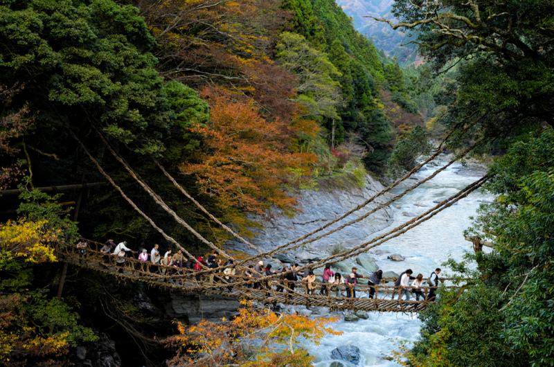 Iya Kazurabashi-Brücke, Japan | Alamy Stock Photo by CulturalEyes-AusGS2