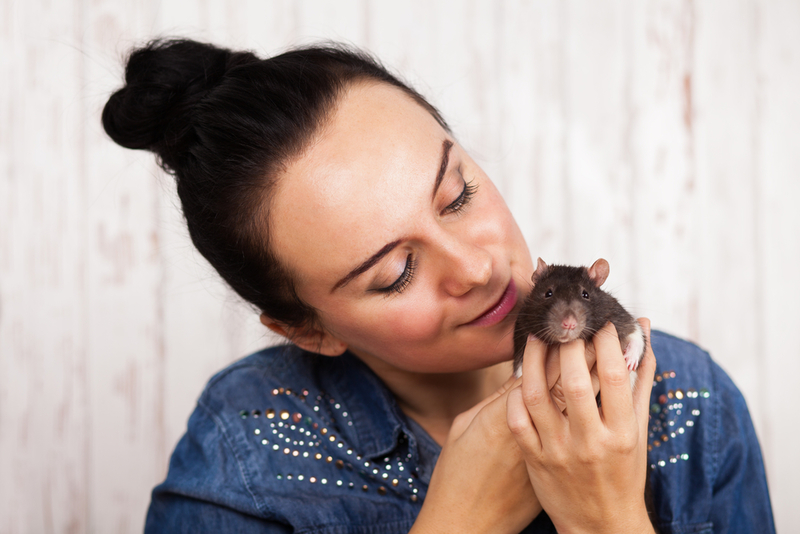 Ratas | Shutterstock Photo by George Dolgikh