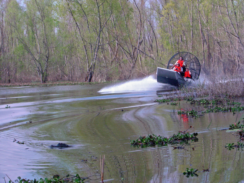 See Ya Later Aligator! | Alamy Stock Photo