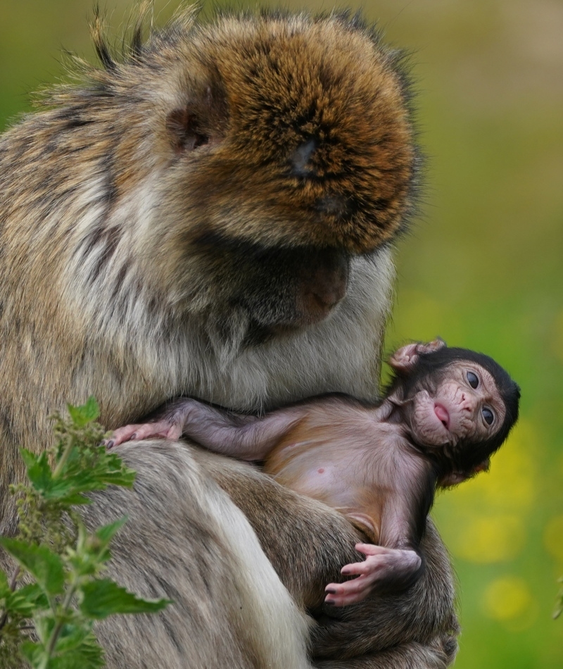 Echando un vistazo | Getty Images Photo by Andrew Milligan/PA Images