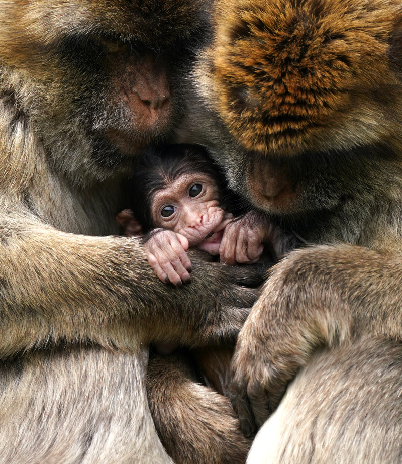 ¡Hora de acurrucarse! | Getty Images Photo by Andrew Milligan/PA Images