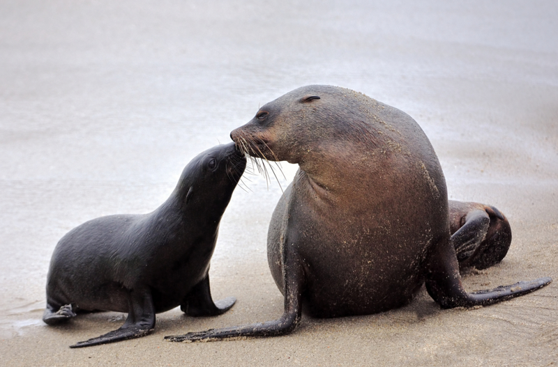 Sellado con un beso | Getty Images Photo by Freder