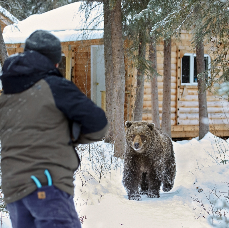 Different Reactions | Alamy Stock Photo by FLPA