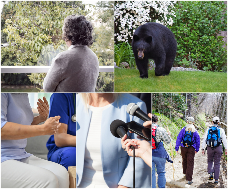 You Won’t Believe What a 90-Year-Old Woman Did to This Bear | Shutterstock & Alamy Stock Photo by Jeffrey Isaac Greenberg 3+